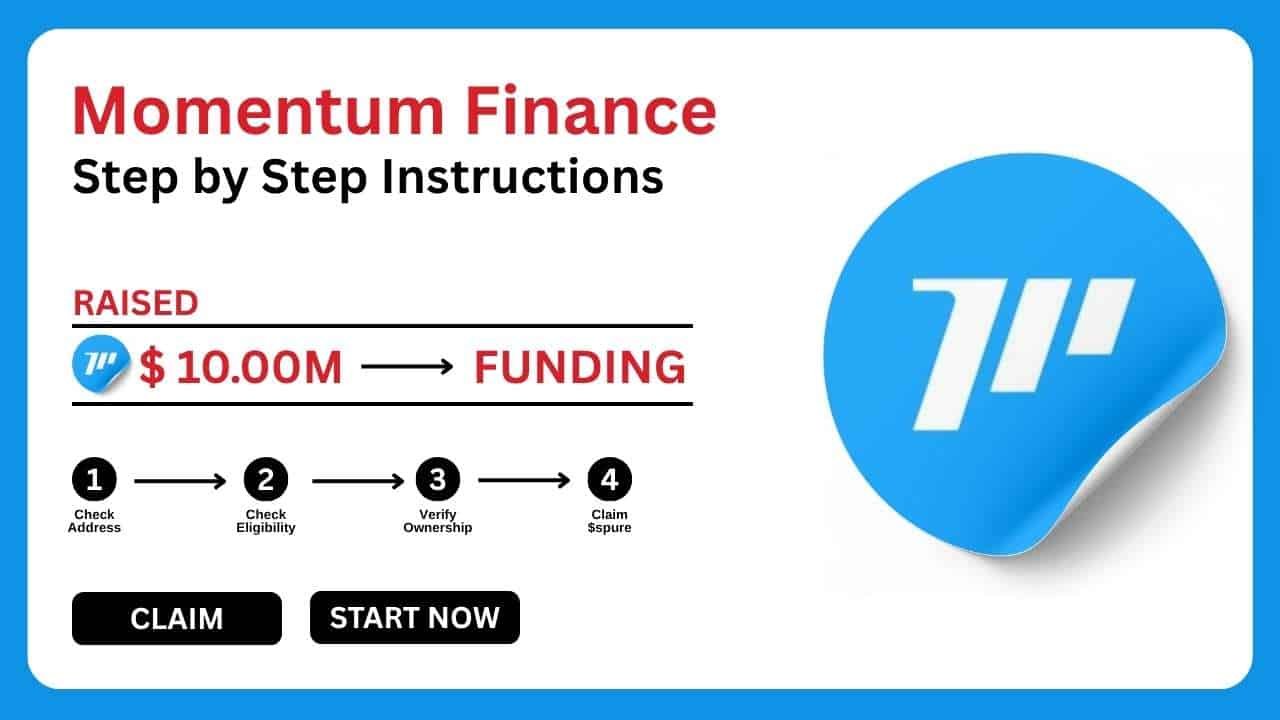 Momentum Finance