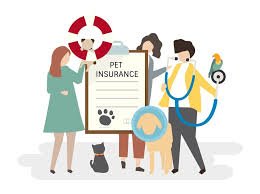 Pet Insurance